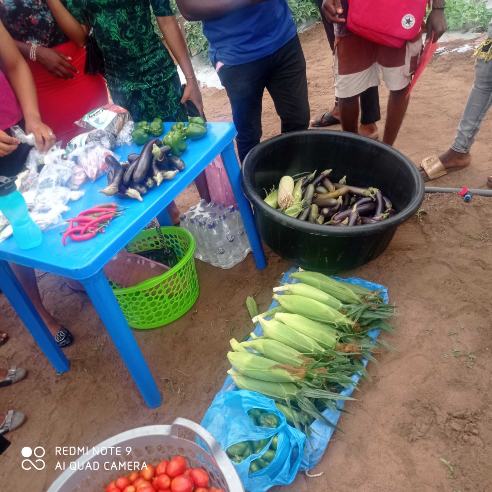 Smart Farming Training