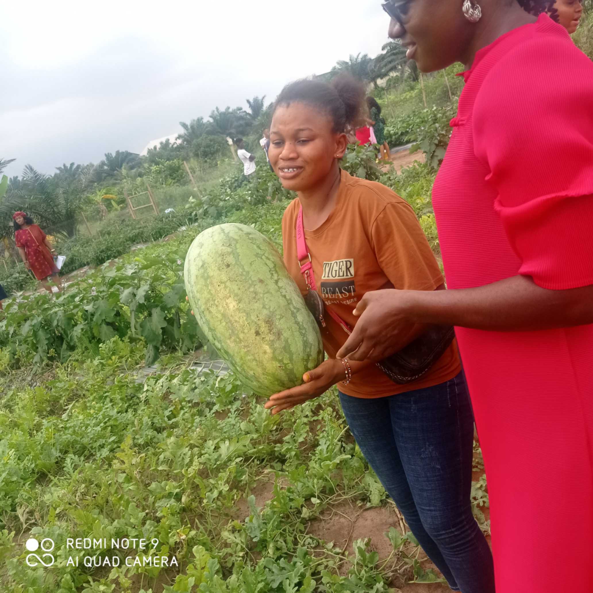 Organic farming practices demo